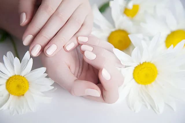 AV Nails Lounge